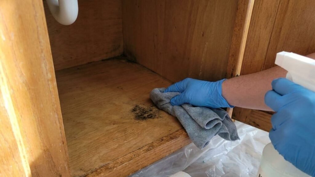 Gently wiping dark mold spots from the wooden kitchen cabinet surface using a soft cloth and cleaner