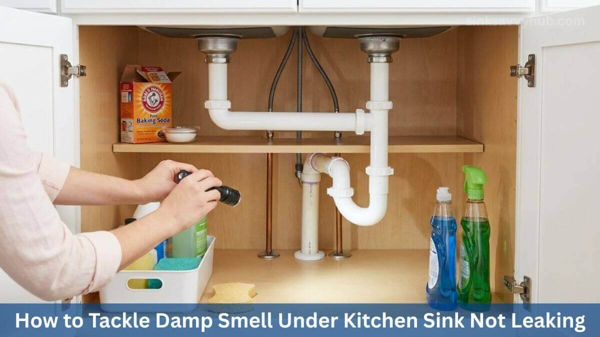 How to Tackle Damp Smell Under Kitchen Sink Not Leaking