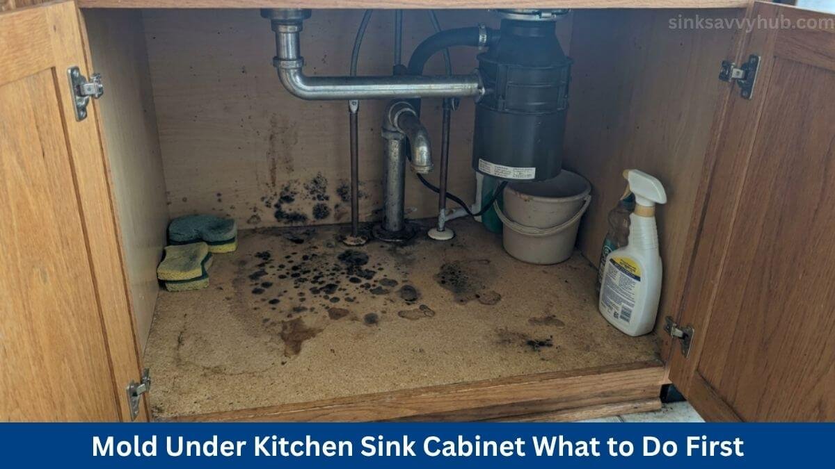 mold under kitchen sink cabinet