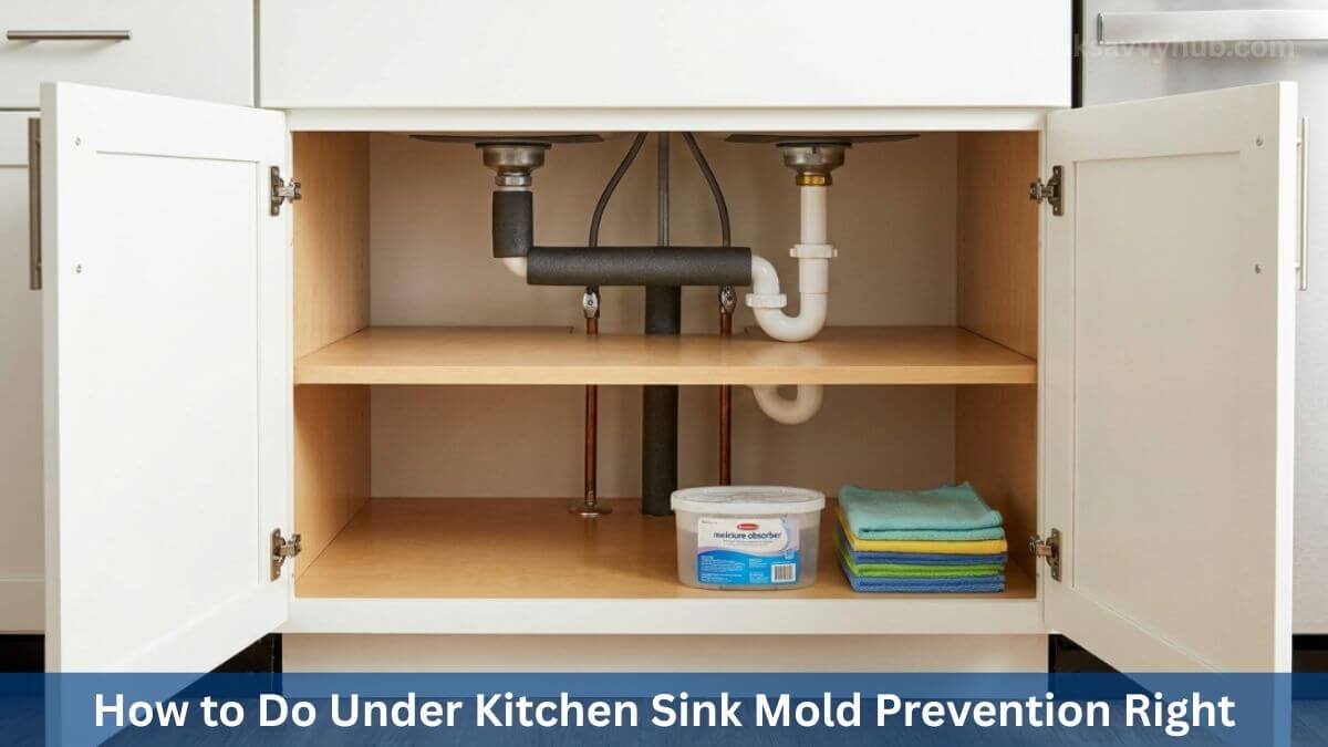 under kitchen sink mold prevention
